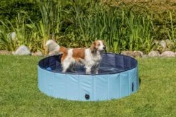 Trixie - Piscine Bleu Pour Chien - 80 × 20 Cm -Chats Chiens Articles Magasin 42803 2