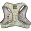 FuzzYard - Harnais Piña Colada Pour Chien - M 1 FuzzYard - Harnais Piña Colada Pour Chien - M -Chats Chiens Articles Magasin 43244