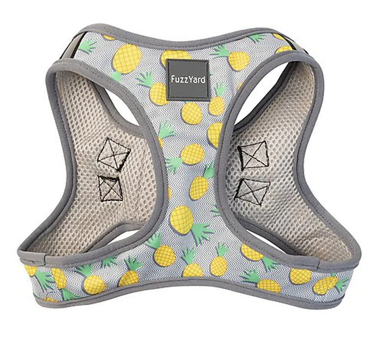 FuzzYard - Harnais Piña Colada Pour Chien - M 3 FuzzYard - Harnais Piña Colada Pour Chien - M