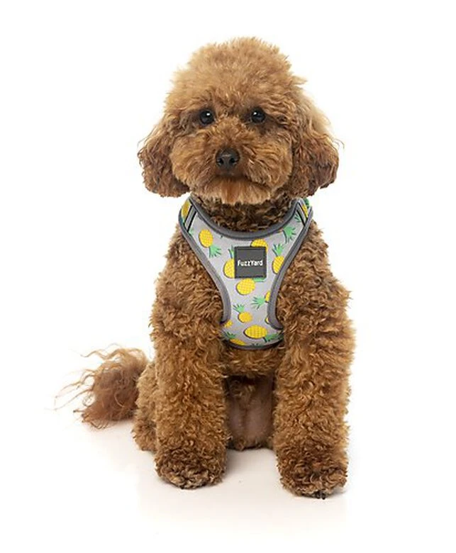 FuzzYard - Harnais Piña Colada Pour Chien - M 7 FuzzYard - Harnais Piña Colada Pour Chien - M – Image 5