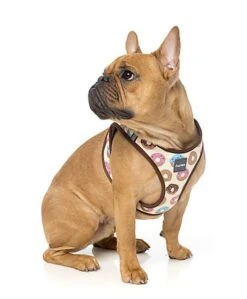 FuzzYard - Harnais Go Nuts Pour Chien - S 9 FuzzYard - Harnais Go Nuts Pour Chien - S -Chats Chiens Articles Magasin 43250