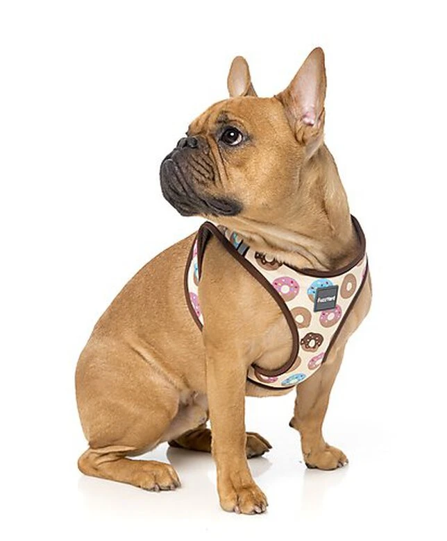 FuzzYard - Harnais Go Nuts Pour Chien - S 5 FuzzYard - Harnais Go Nuts Pour Chien - S – Image 3