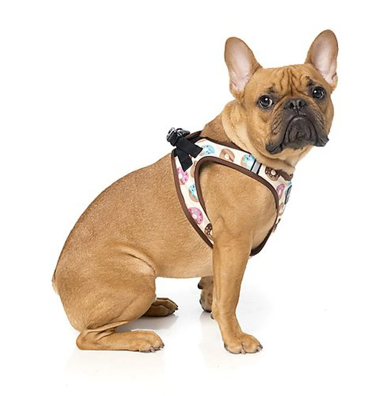 FuzzYard - Harnais Go Nuts Pour Chien - S 7 FuzzYard - Harnais Go Nuts Pour Chien - S – Image 5