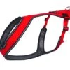 Kyflie - Harnais OTIUM Canicross De Traction Pour Chien T5 - Rouge -Chats Chiens Articles Magasin 43408 1
