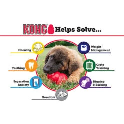 KONG - Jouet Extreme Pour Chien 11 KONG - Jouet Extreme Pour Chien -Chats Chiens Articles Magasin 45856