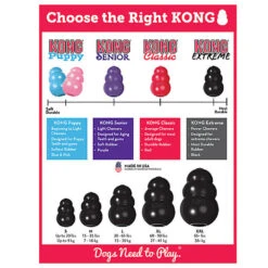 KONG - Jouet Extreme Pour Chien 12 KONG - Jouet Extreme Pour Chien -Chats Chiens Articles Magasin 45858