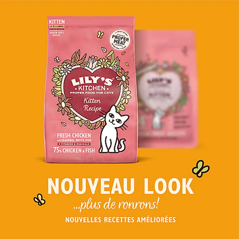 Lily's Kitchen - Croquettes Poulet Et Poisson Blanc Pour Chaton - 800g 4 Lily's Kitchen - Croquettes Poulet Et Poisson Blanc Pour Chaton - 800g – Image 2