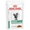 Royal Canin - Sachets Veterinary Diet Diabetic Pour Chat - 12x85g -Chats Chiens Articles Magasin 46039
