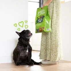 Edgard & Cooper - Croquettes à L'Agneau Pour Chien - 7Kg 12 Edgard & Cooper - Croquettes à L'Agneau Pour Chien - 7Kg -Chats Chiens Articles Magasin 46541