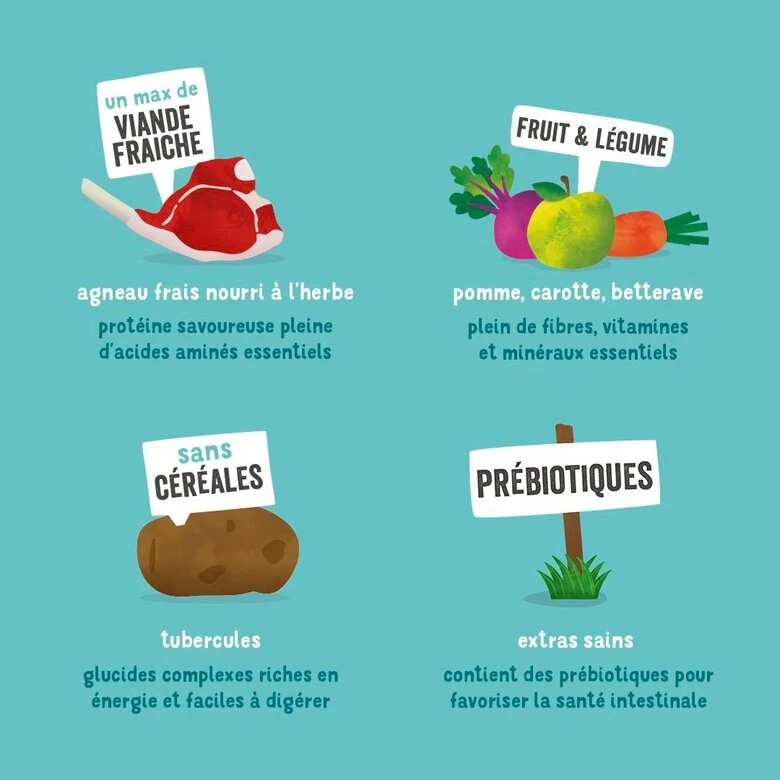 Edgard & Cooper - Croquettes à L'Agneau Pour Chien - 7Kg 7 Edgard & Cooper - Croquettes à L'Agneau Pour Chien - 7Kg – Image 5