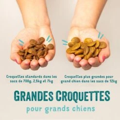 Edgard & Cooper - Croquettes à L'Agneau Pour Chien - 2,5Kg -Chats Chiens Articles Magasin 46543 1