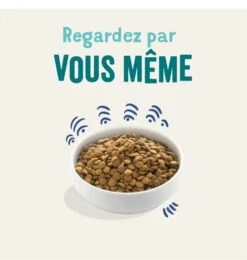 Edgard & Cooper - Croquettes Au Saumon Pour Chien - 12Kg -Chats Chiens Articles Magasin 46571