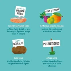 Edgard & Cooper - Croquettes Au Saumon Pour Chien - 12Kg -Chats Chiens Articles Magasin 46574