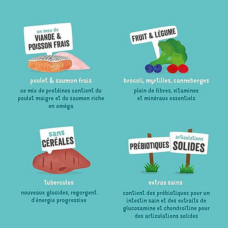 Edgard & Cooper - Croquettes Au Poulet Et Saumon Pour Chien - 2,5Kg 7 Edgard & Cooper - Croquettes Au Poulet Et Saumon Pour Chien - 2,5Kg – Image 5