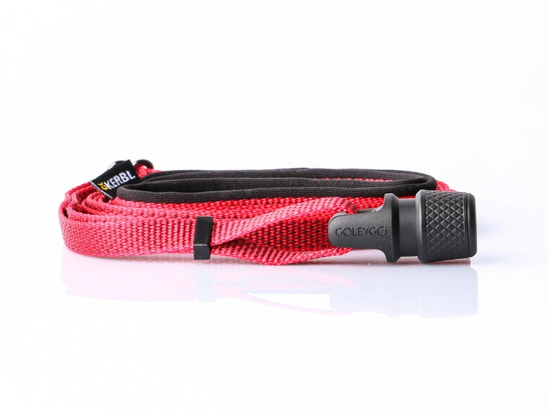 Goleygo - Laisse Plate Réglable Rouge Pour Chien - S 3 Goleygo - Laisse Plate Réglable Rouge Pour Chien - S