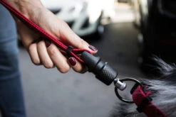 Goleygo - Laisse Plate Réglable Rouge Pour Chien - M -Chats Chiens Articles Magasin 47724