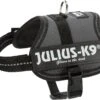 Julius-K9 - Harnais Baby 2XS De 33-45cm Pour Chien - Anthracite -Chats Chiens Articles Magasin 47796