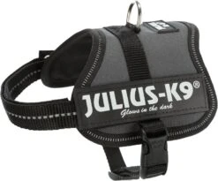 Julius-K9 - Harnais Baby 2XS De 33-45cm Pour Chien - Anthracite