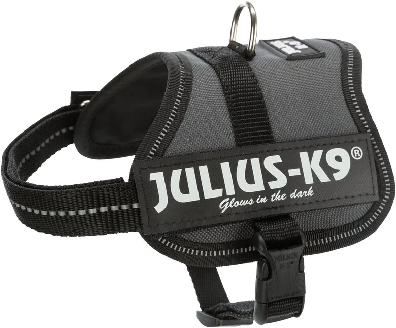Julius-K9 - Harnais Baby 2XS De 33-45cm Pour Chien - Anthracite 3 Julius-K9 - Harnais Baby 2XS De 33-45cm Pour Chien - Anthracite