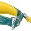 Trixie - Collier Confort Lévriers En Cuir Bleu Et Jaune XS Pour Chien - 27/35cm -Chats Chiens Articles Magasin 47812