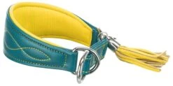 Trixie - Collier Confort Lévriers En Cuir Bleu Et Jaune XS Pour Chien - 27/35cm