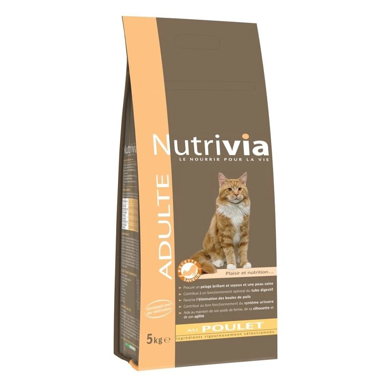 Nutrivia - Croquettes Au Poulet Pour Chat Adulte 4 Nutrivia - Croquettes Au Poulet Pour Chat Adulte – Image 2