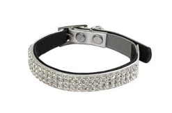 Animalis - Collier Diam's Pour Chat - Argent