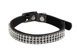 Animalis - Collier Diam's Pour Chat - Noir