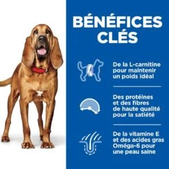Hill's Science Plan - Croquettes Light Mature 7+ Poulet Pour Chien - 12Kg -Chats Chiens Articles Magasin 53860