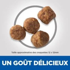 Hill's Science Plan - Croquettes Light Mature 7+ Poulet Pour Chien - 12Kg -Chats Chiens Articles Magasin 53861