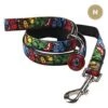 For Fan Pets - Laisse Marvel En Nylon Pour Chien - M 1 For Fan Pets - Laisse Marvel En Nylon Pour Chien - M -Chats Chiens Articles Magasin 63798