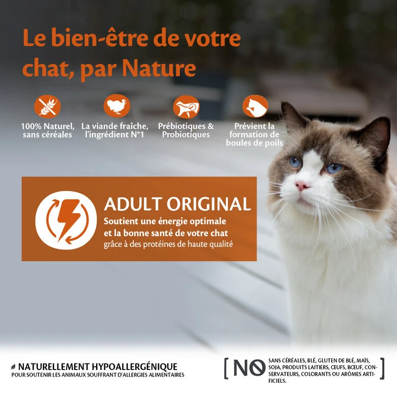 Wellness CORE - Croquettes Original Dinde Et Poulet Pour Chat - 1,75Kg 4 Wellness CORE - Croquettes Original Dinde Et Poulet Pour Chat - 1,75Kg – Image 2