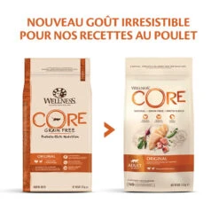 Wellness CORE - Croquettes Original Dinde Et Poulet Pour Chat - 1,75Kg 12 Wellness CORE - Croquettes Original Dinde Et Poulet Pour Chat - 1,75Kg -Chats Chiens Articles Magasin 64020