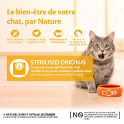 Wellness CORE - Croquettes Sterilised Poulet Et Dinde Pour Chat - 1,75Kg 10 Wellness CORE - Croquettes Sterilised Poulet Et Dinde Pour Chat - 1,75Kg -Chats Chiens Articles Magasin 64025