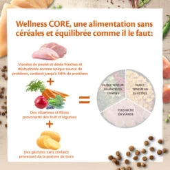 Wellness CORE - Croquettes Sterilised Poulet Et Dinde Pour Chat - 1,75Kg 13 Wellness CORE - Croquettes Sterilised Poulet Et Dinde Pour Chat - 1,75Kg -Chats Chiens Articles Magasin 64027