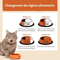 Wellness CORE - Croquettes Sterilised Poulet Et Dinde Pour Chat - 1,75Kg 14 Wellness CORE - Croquettes Sterilised Poulet Et Dinde Pour Chat - 1,75Kg -Chats Chiens Articles Magasin 64031
