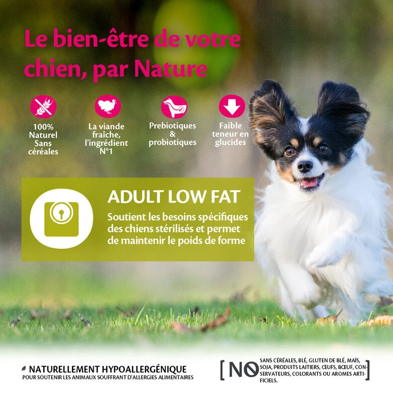 Wellness CORE - Croquettes Light Poulet Et Dinde Pour Chien Petite Race - 1,5Kg 4 Wellness CORE - Croquettes Light Poulet Et Dinde Pour Chien Petite Race - 1,5Kg – Image 2