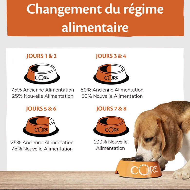 Wellness CORE - Croquettes Light Poulet Et Dinde Pour Chien Petite Race - 1,5Kg 7 Wellness CORE - Croquettes Light Poulet Et Dinde Pour Chien Petite Race - 1,5Kg – Image 5