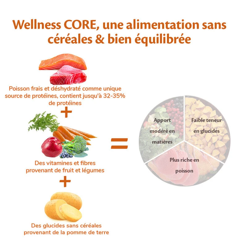 Wellness CORE - Croquettes Océan Saumon Et Thon Pour Chien - 1,8Kg 6 Wellness CORE - Croquettes Océan Saumon Et Thon Pour Chien - 1,8Kg – Image 4