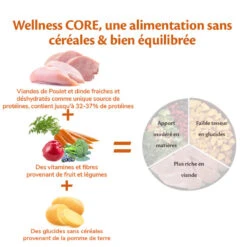 Wellness CORE - Croquettes Puppy Dinde Et Poulet Pour Chiot - 10Kg 11 Wellness CORE - Croquettes Puppy Dinde Et Poulet Pour Chiot - 10Kg -Chats Chiens Articles Magasin 64109