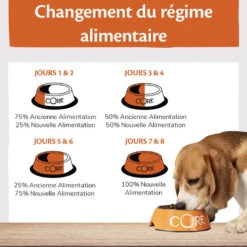 Wellness CORE - Croquettes Puppy Dinde Et Poulet Pour Chiot - 10Kg 12 Wellness CORE - Croquettes Puppy Dinde Et Poulet Pour Chiot - 10Kg -Chats Chiens Articles Magasin 64110