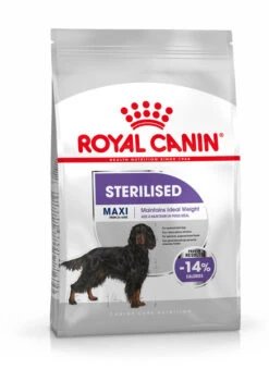 Royal Canin - Croquettes Maxi Adult Sterilised Pour Chien - 12Kg