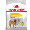 Royal Canin - Croquettes Medium Adult Dermacomfort Pour Chien - 12Kg