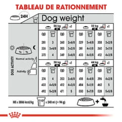 Royal Canin - Croquettes Maxi Adult Digestive Care Pour Chien - 12Kg 5 Royal Canin - Croquettes Maxi Adult Digestive Care Pour Chien - 12Kg -Chats Chiens Articles Magasin 64794