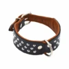 Comme Un Roi - Collier Cuir Clouté So Chic Noir Pour Chien - S -Chats Chiens Articles Magasin 64915 1