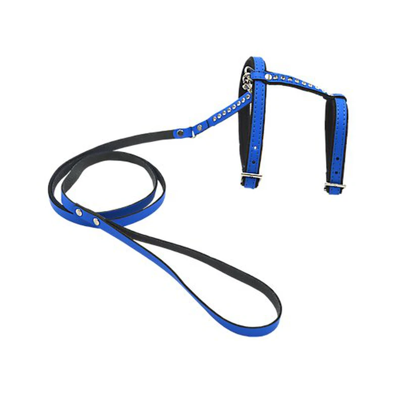Comme Un Roi - Harnais Et Laisse Cuir So Funky Bleu Pour Chat - TU 3 Comme Un Roi - Harnais Et Laisse Cuir So Funky Bleu Pour Chat - TU