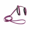 Comme Un Roi - Harnais Et Laisse Cuir So Funky Rose Pour Chat - TU -Chats Chiens Articles Magasin 64924