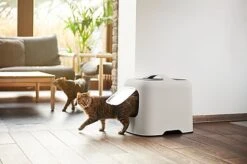 Rotho MyPet - Maison De Toilette Biala Pour Chat - Cappuccino -Chats Chiens Articles Magasin 65484