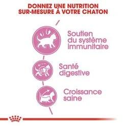 Royal Canin - Croquettes Kitten Pour Chaton -Chats Chiens Articles Magasin 66737
