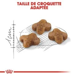 Royal Canin - Croquettes Kitten Pour Chaton -Chats Chiens Articles Magasin 66738